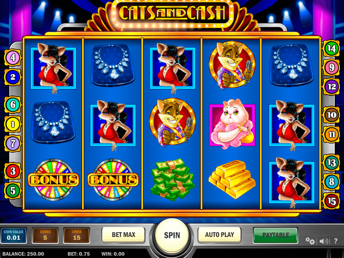 cats and cash playn go spelautomat