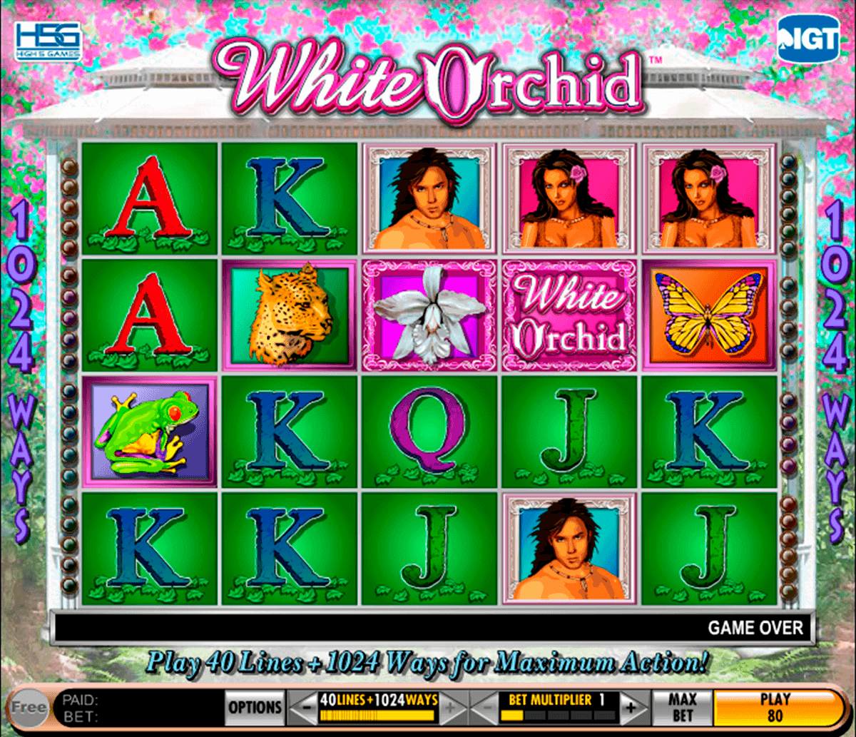 white orchid igt spelautomat