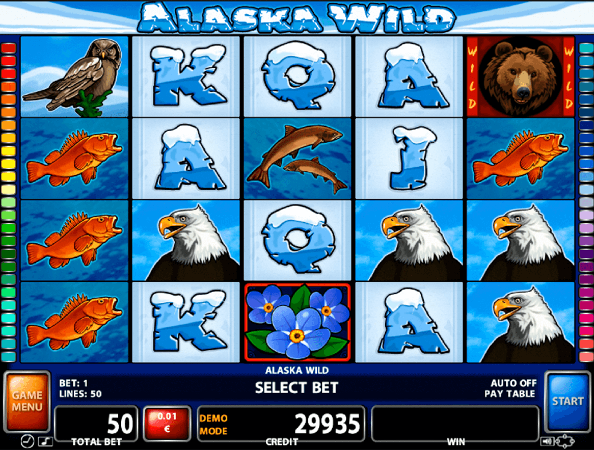 alaska wild casino technology