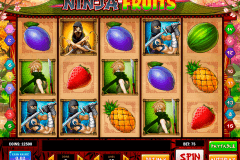 ninja fruits playn go spelautomat