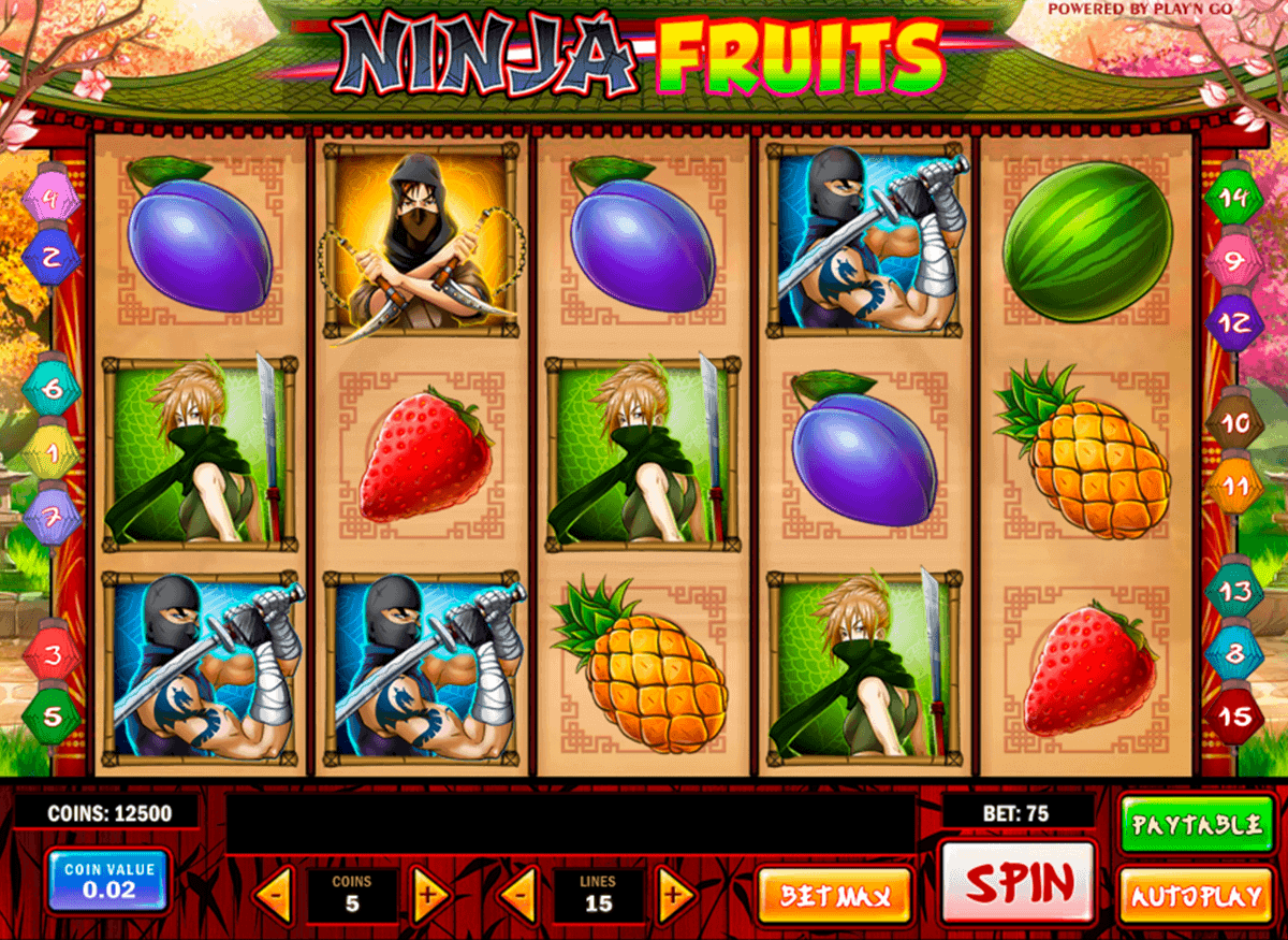ninja fruits playn go spelautomat