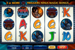 ninja magic microgaming spelautomat