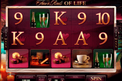 the finer reels of life microgaming spelautomat