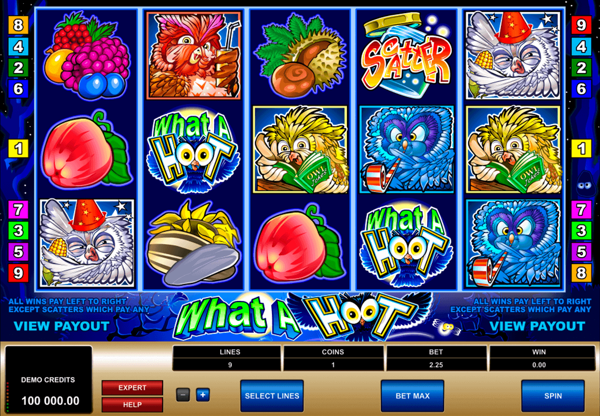 what a hoot microgaming spelautomat
