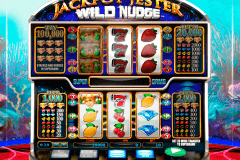 jackpot jester wild nudge netgen gaming