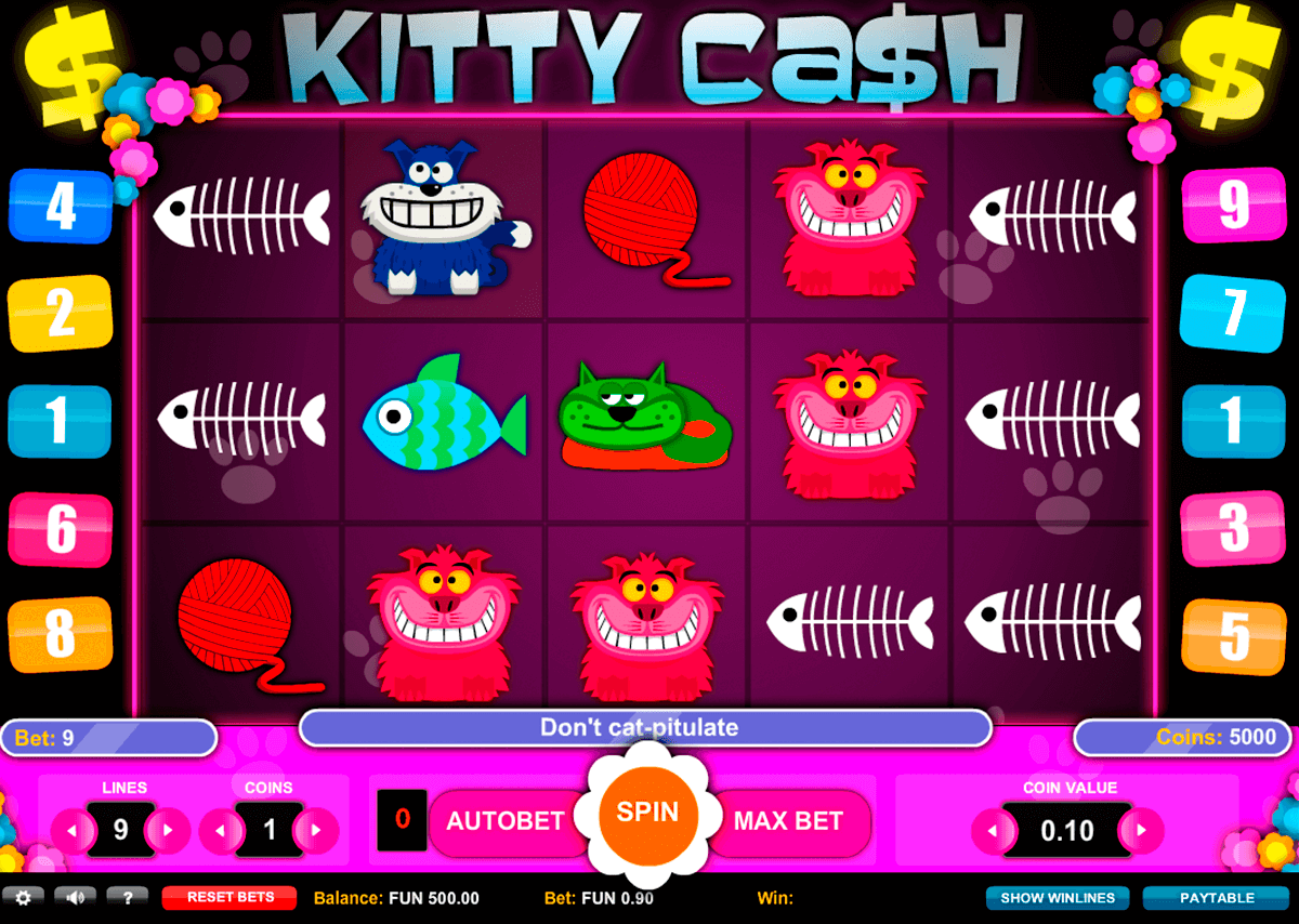 kitty cash 1x2gaming 