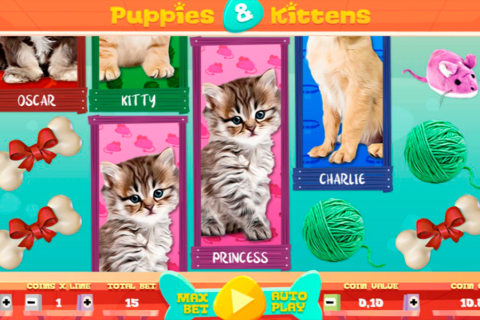 puppies and kittens capecod gaming
