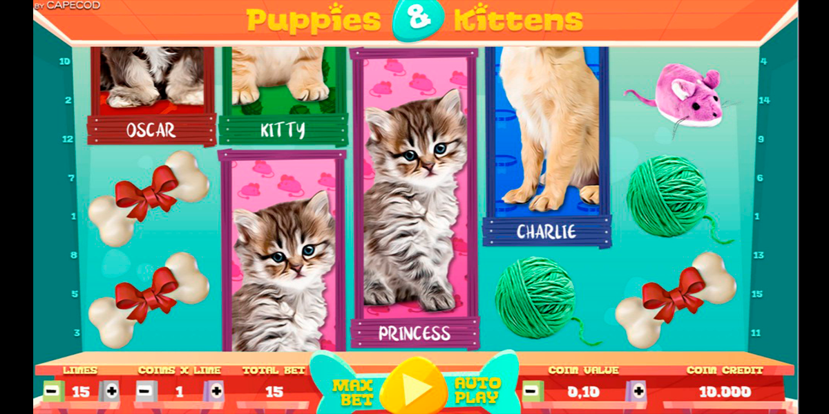 puppies and kittens capecod gaming 