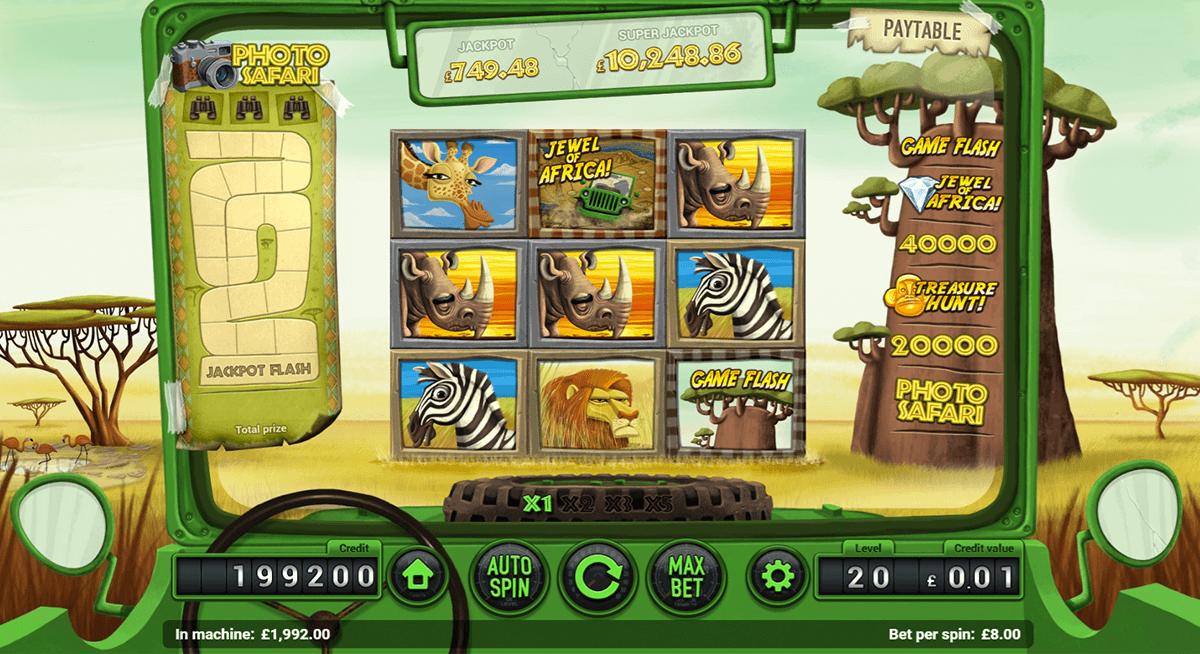 safari magnet gaming