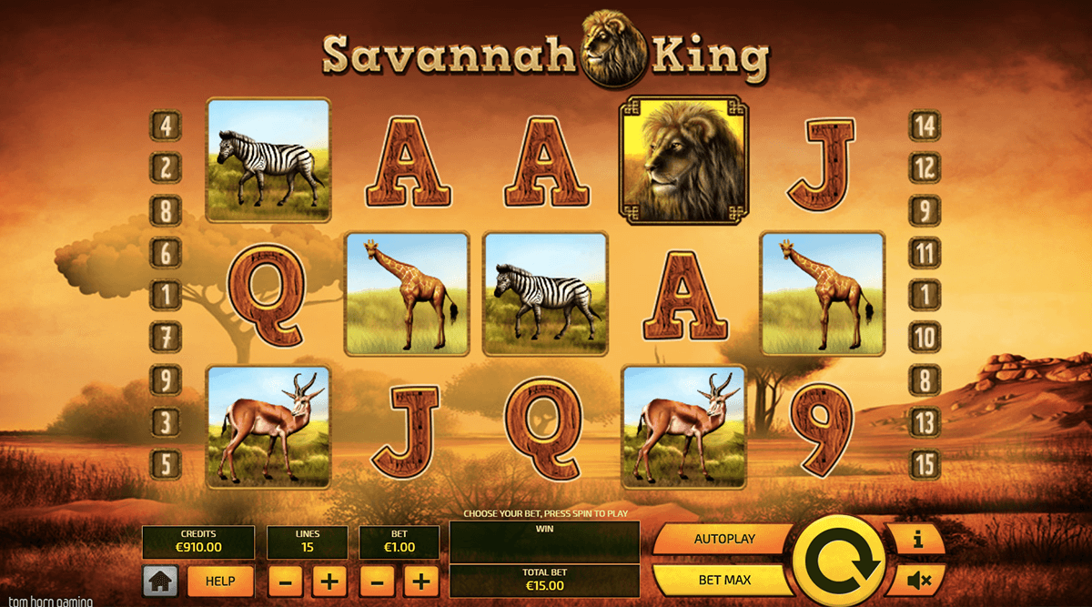 savannah king tom hor