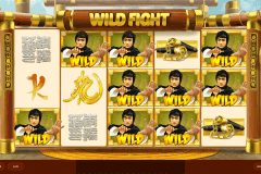 wild fight red tiger