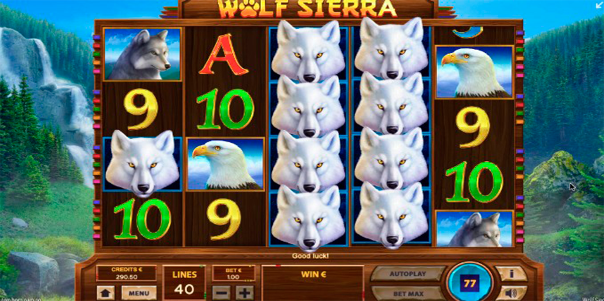 wolf sierra tom horn